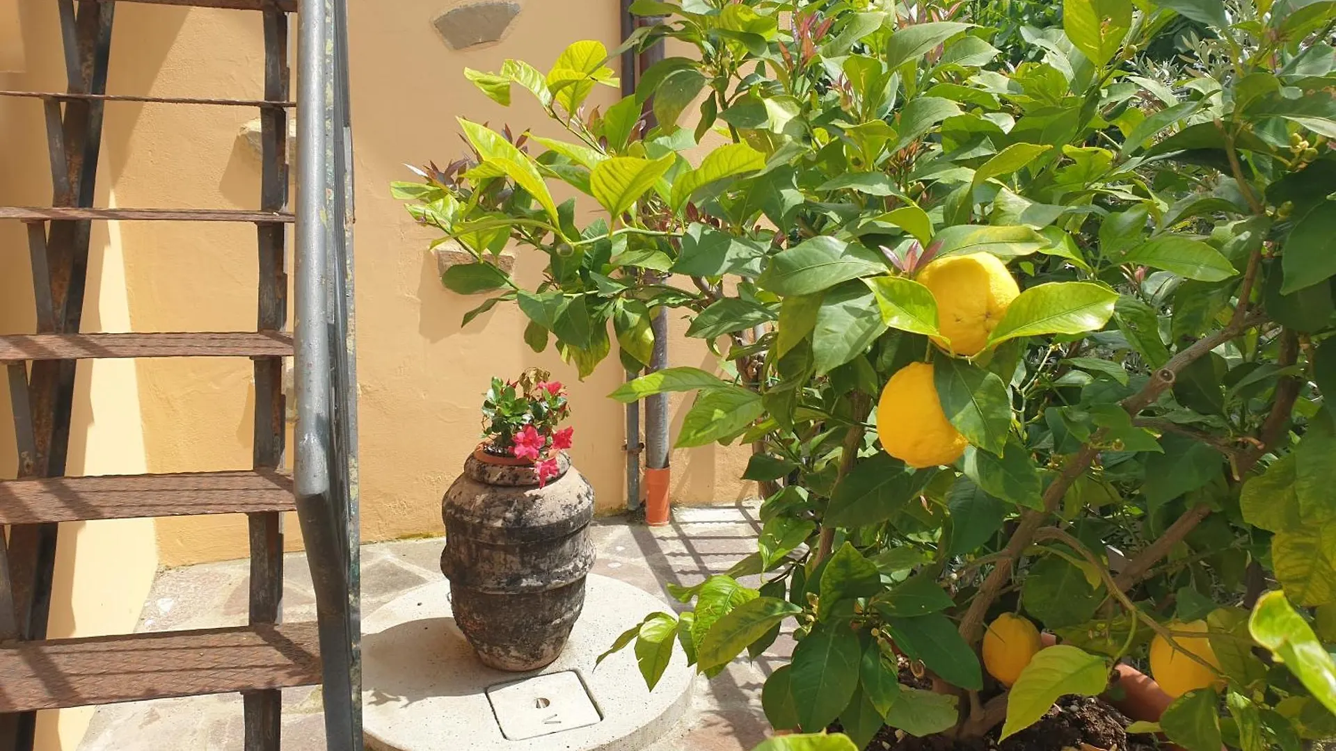 קורטונה B&B Il Mandorlo איטליה