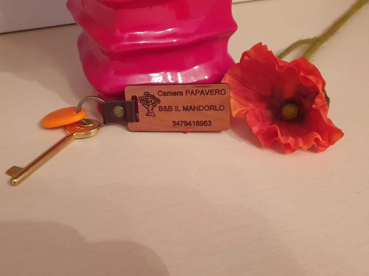 B&B Il Mandorlo Cortona